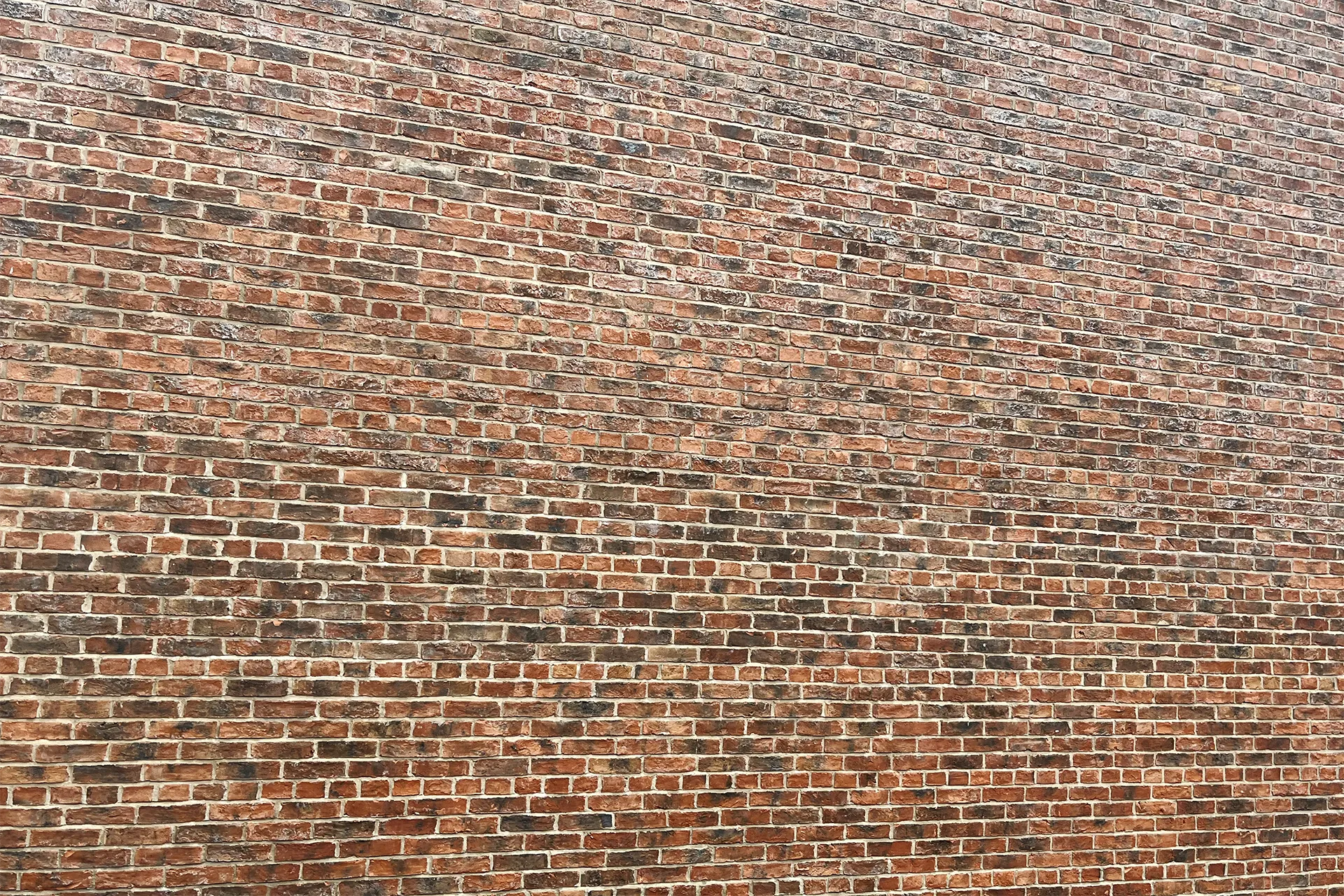 Bark Hill case study - brick wall