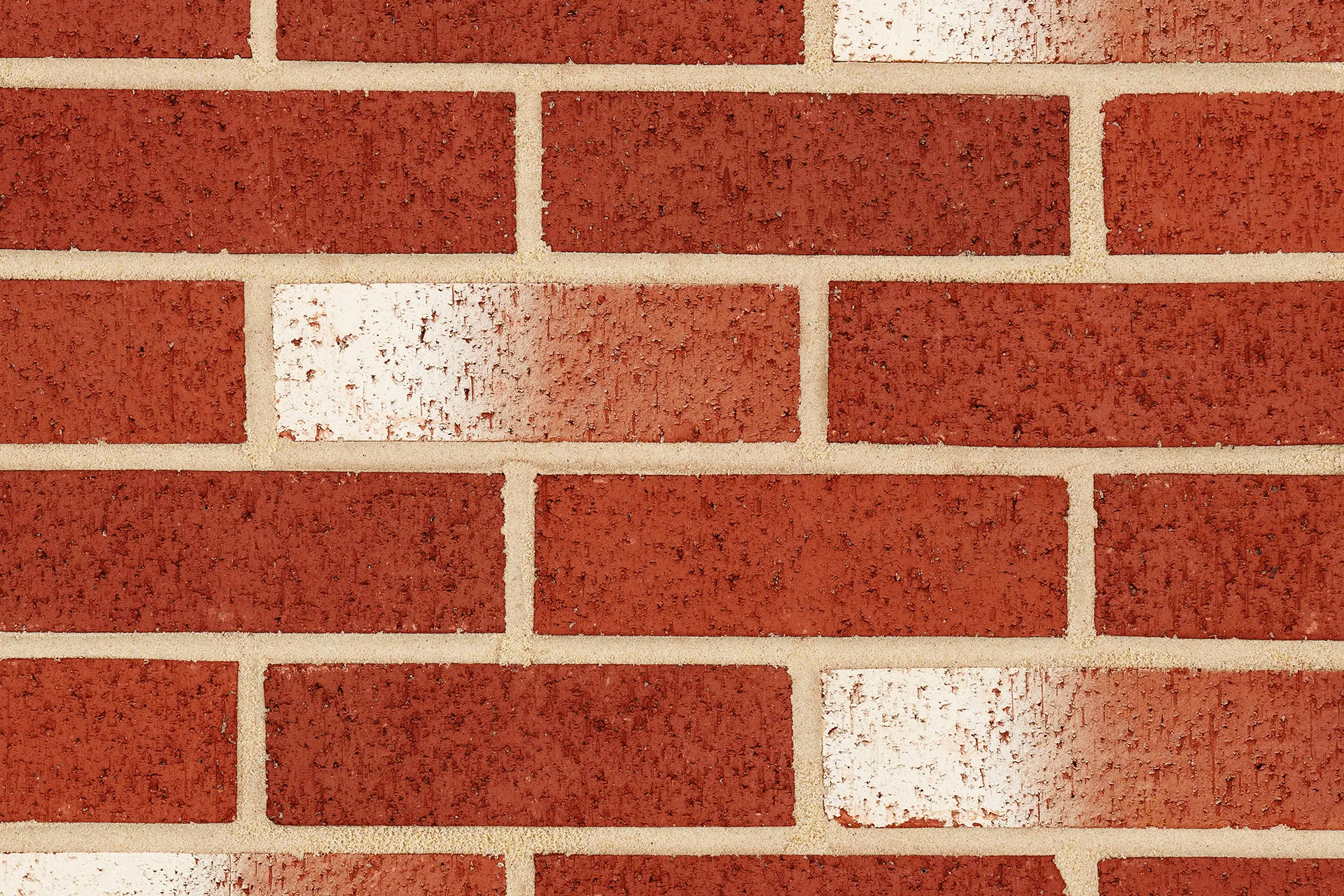 Brampton Blend wirecut bricks