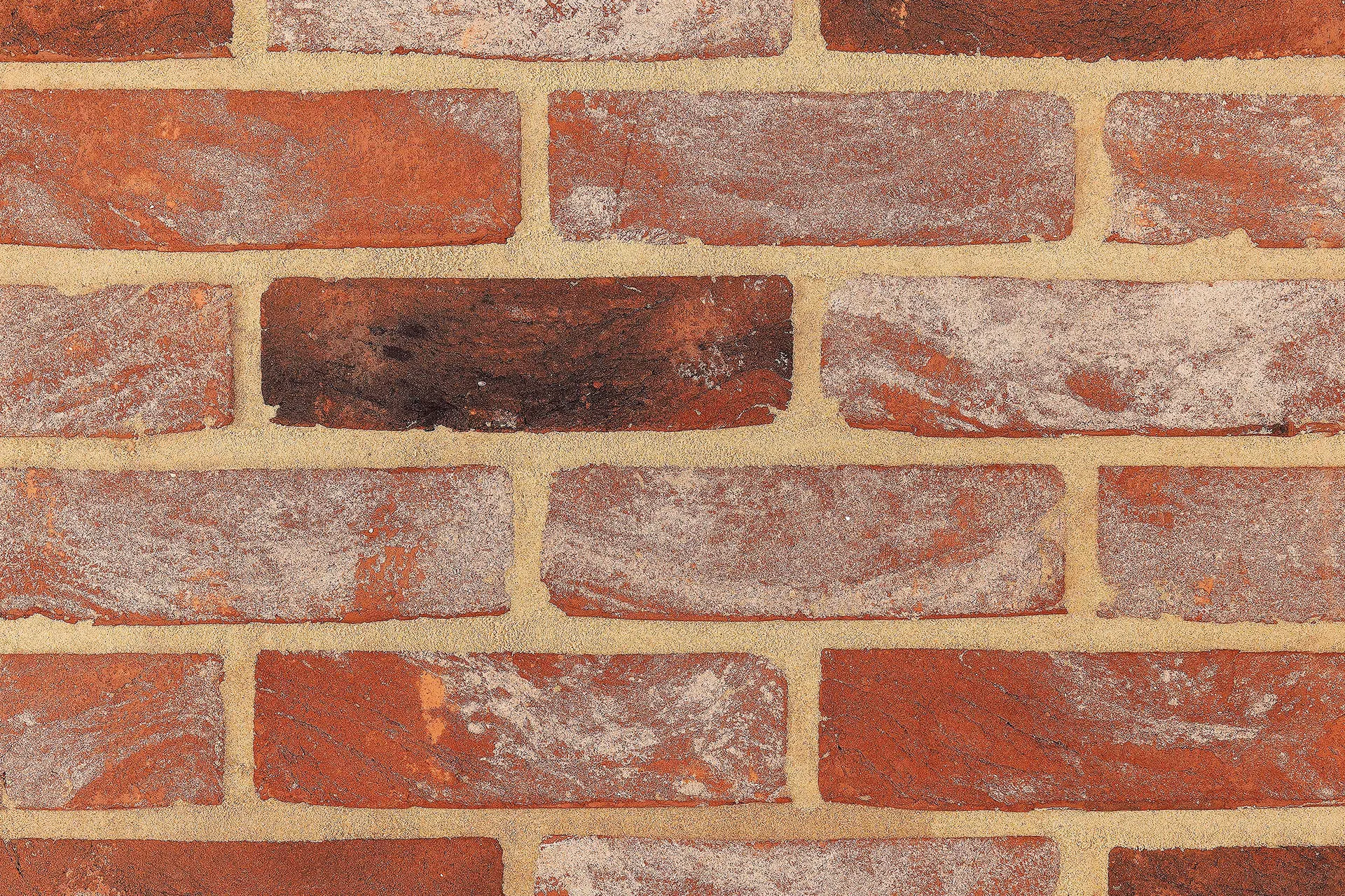 St Albans Blend bricks