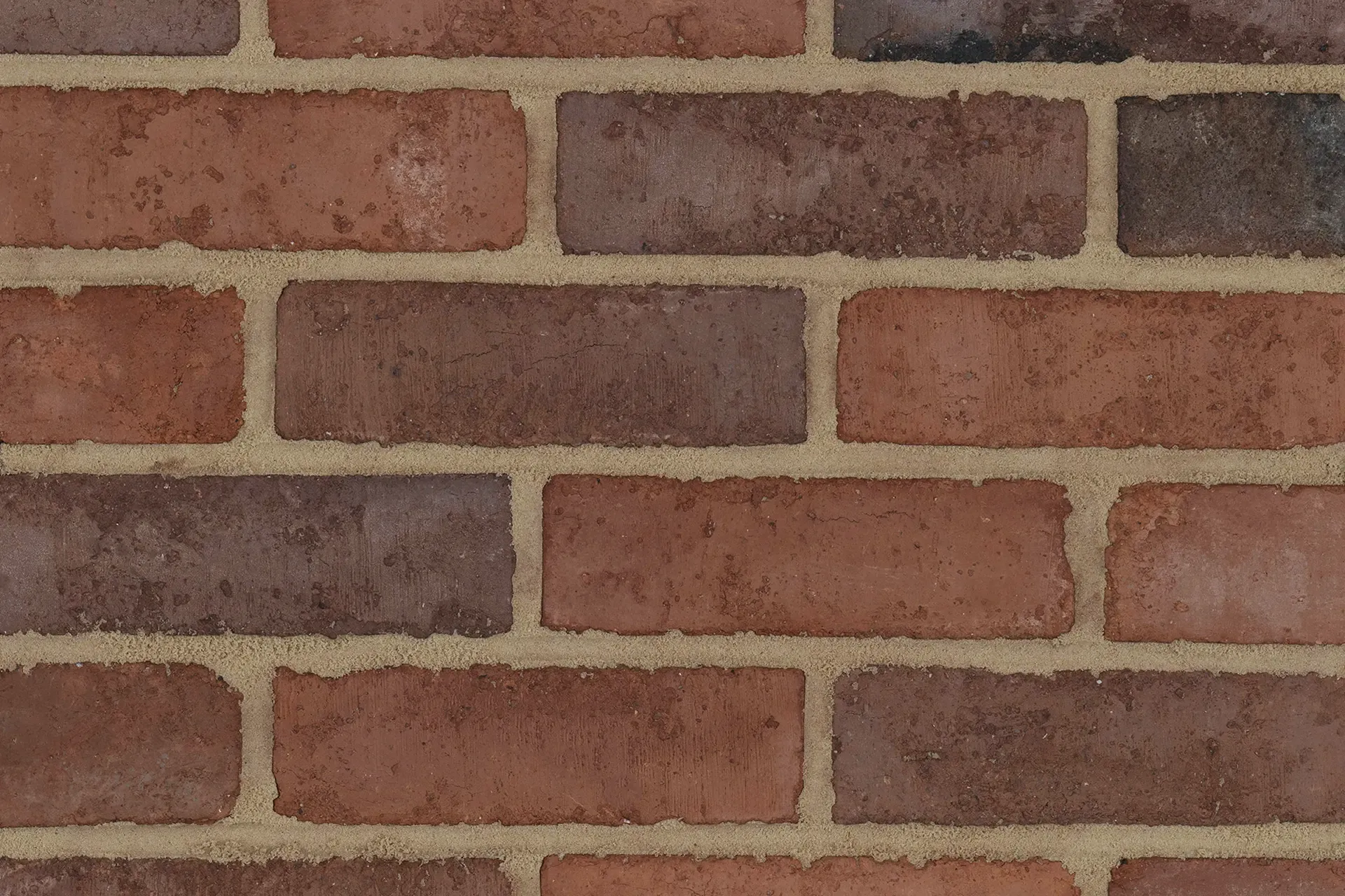 Wilmslow Orange wirecut bricks